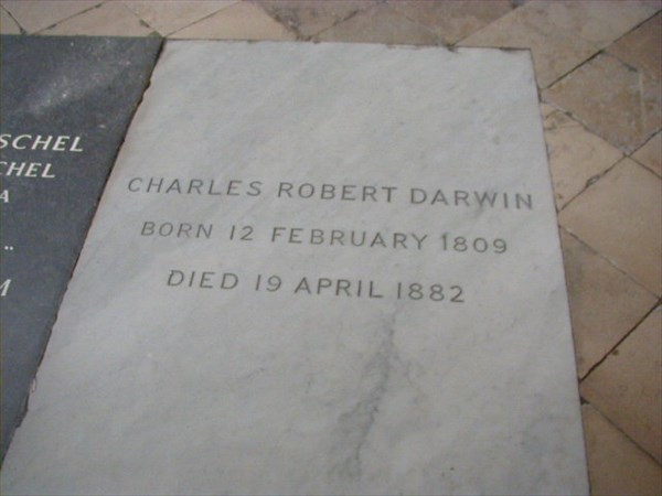 059-Чарльз Дарвин-ВА
